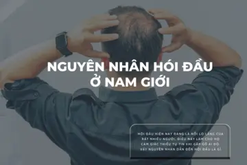 NGUYÊN NHÂN HÓI ĐẦU Ở NAM GIỚI