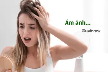 Nguyên Nhân Rụng Tóc Và Cách Kích Thích Mọc Tóc, Phục Hồi Tóc Hư Tổn